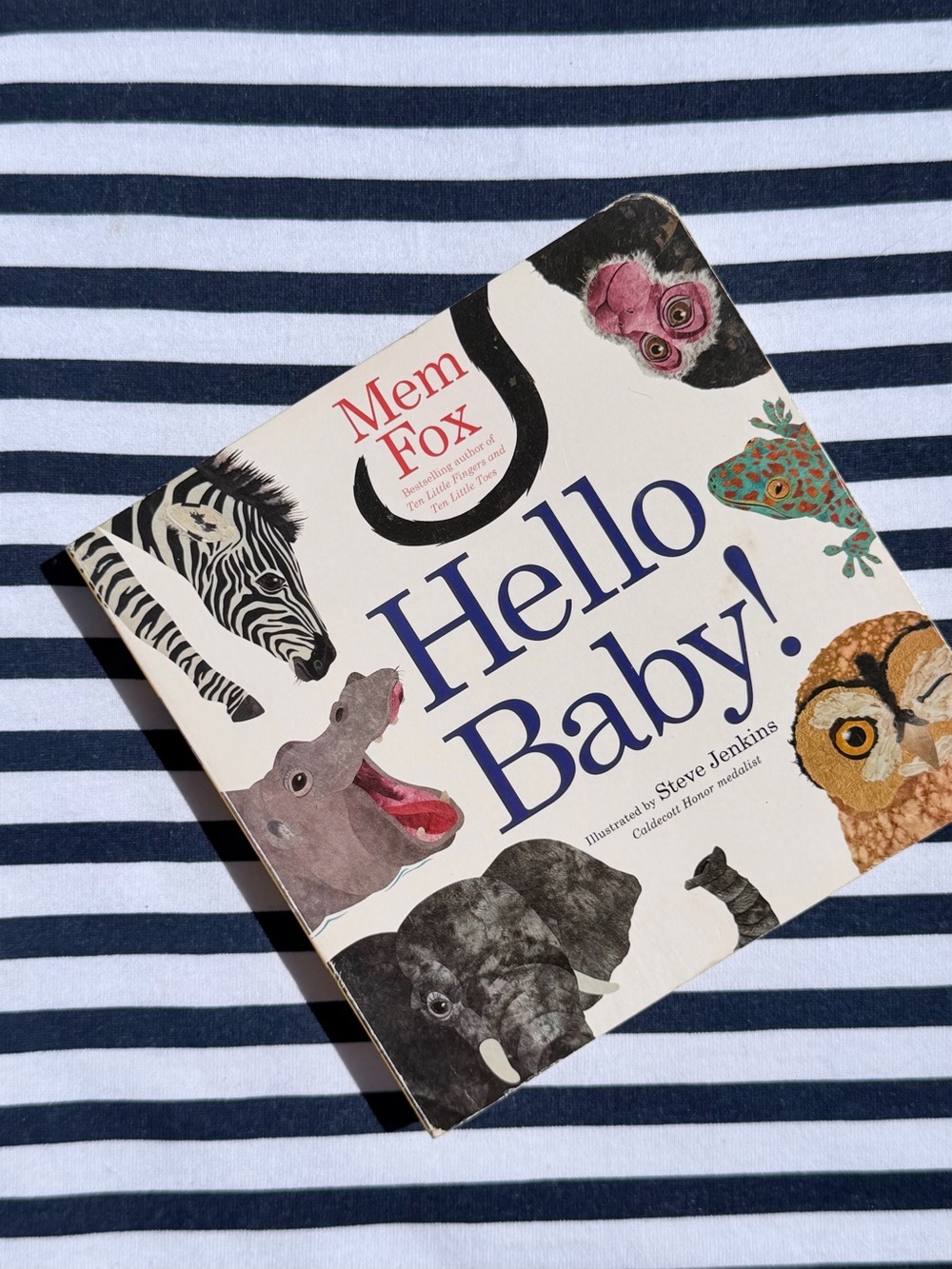 Hello Baby❕ Mem Fox Classic Baby Board Book